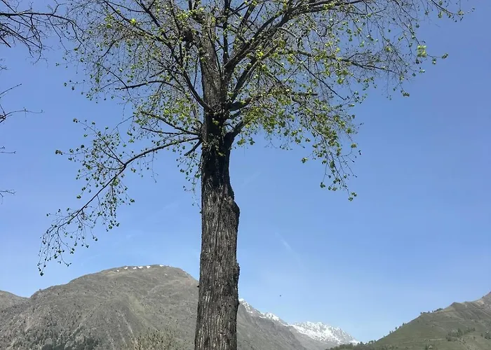 Les Ecrins D'or - Maison Dağ evi Les Deux Alpes